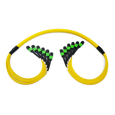 Singlemode 12 Fiber 9/125 OS2 MTP MPO Fiber Patch Cable